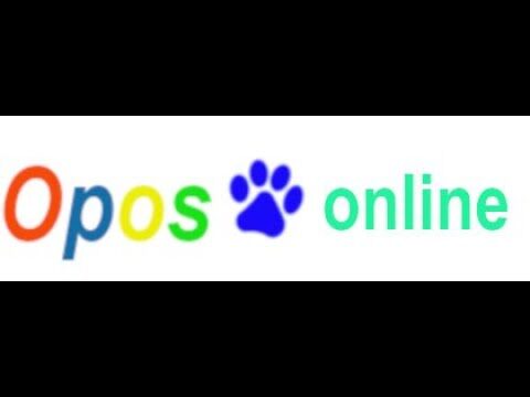 Gu&iacute;a para preparar las oposiciones al ICS: Temario completo