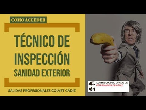 Oposiciones Inspector Sanidad Alimentaria 2024: Gu&iacute;a Completa