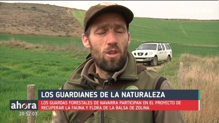 Oposiciones Forestal Navarra: Gu&iacute;a Completa para Prepararte con &Eacute;xito