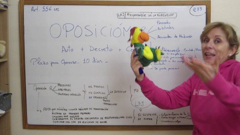 Oposición a la Ejecución: Estrategias y Consejos